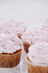 Cupcakes with vanilla flavor and light pink fluff photographed in the snow.