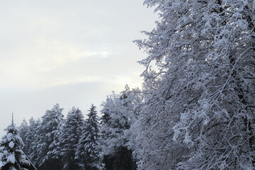 Winterlandschaft