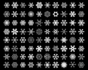 Set of different white snowflakes on a black background 