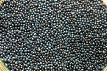 Macro. Processed blue-coated rapeseed seeds in a petri dish in the lab