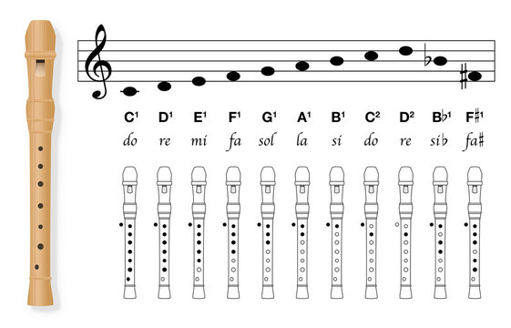 Fingering chart for recorder with black covered holes and white uncovered. Stave with corresponding basic musical notes, C major, B flat and F sharp. Vector on white.
