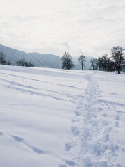 Fototapeta na wymiar Visible tracks in the snow, paved path through deep snow.
