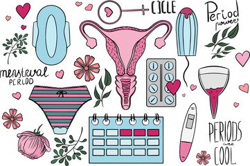 Feminine hygiene items and menstrual cycle. Panty liners, applicator, menstrual cup, pregnancy test, uterus, panty. Female health concept
