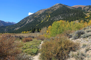 Trail in the valley - Twin Lakes, Colorado