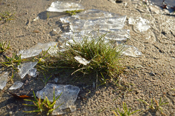 ice on sand