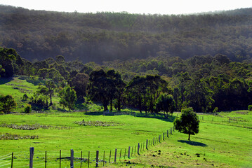 Rural Paddock on a Warm Sunny Day near Ballan, Victoria, Australia