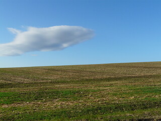 Fototapeta na wymiar Felder am Hügel mit Himmel und einer kleinen Wolke