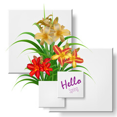 Daylily bushes with yellow, red and orange delicate flowers and green fan leaves, vector illustration