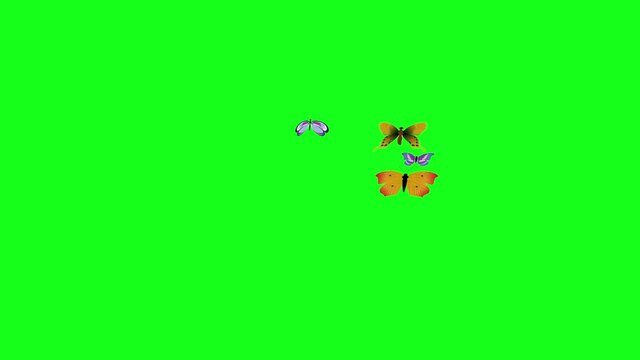 Group of butterflies fly on green screen chroma key, graphic source element