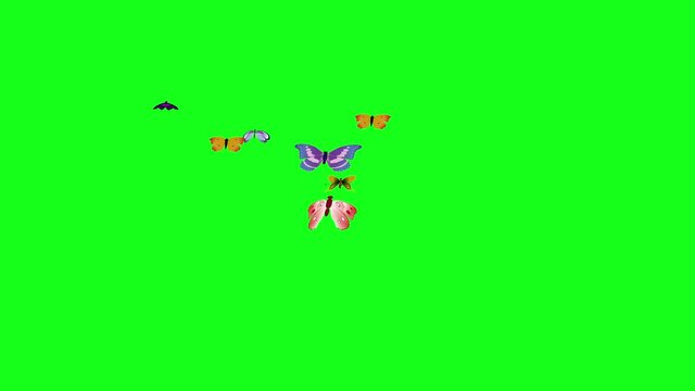 Group of butterflies fly on green screen chroma key, graphic source element