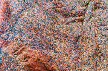 Sea stone texture. Panel texture. Background fill. Natural stone background.