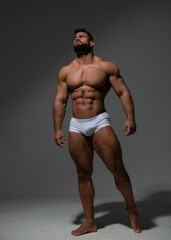 Fitness model