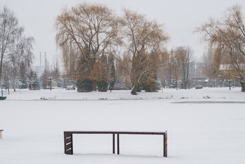 bench in winter park