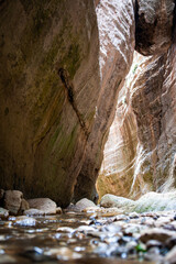 Cyprus national park Akamas in summer.