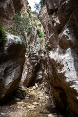 Cyprus national park Akamas in summer.