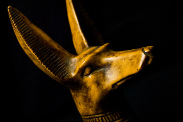 statua di Anubi dio egizio su sfondo nero
