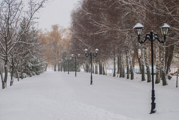 winter in the park