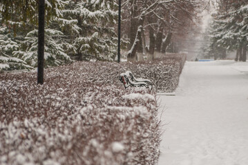 bench in the snow