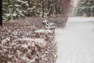 snow covered tree in the park