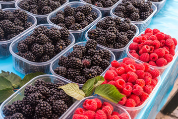 Frambuesas negras y rojas en los mercados de Dubrovnik