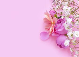 Obraz na płótnie Canvas rose flower on colored background