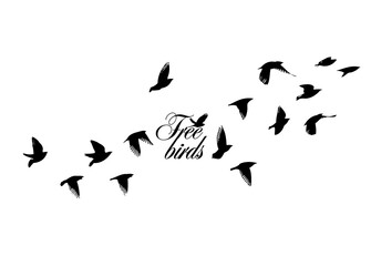 Fototapeta na wymiar A flock of flying birds. Vector illustration