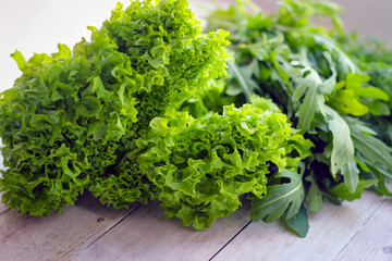 Fototapeta premium Green dill leaves and arugula on a wooden background