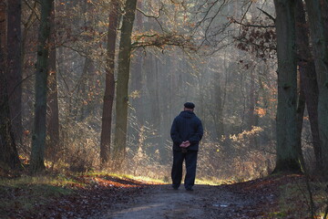 Człowiek idący po drodze w lesie wśród wysokich drzew - obrazy, fototapety, plakaty