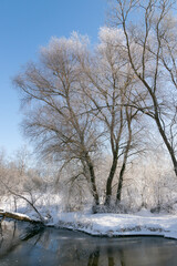 Fototapeta na wymiar The winter view of sunny frosty day with lot of snow, frozen trees and plant