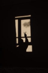 silhouette of people doing victory sign