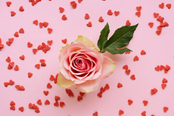 Pink roses and red sugar hearts on pink background. Valentine's day background.