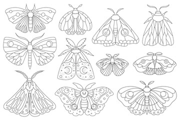 Hand drawn moth collection. Boho elements with butterflies for decoration. Mystery symbols