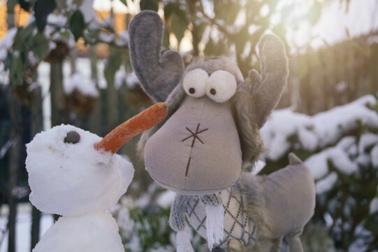 Winter: "bist du Pinocchio?"