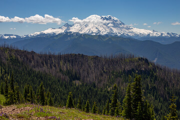 Mount Rainier view