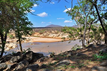 Widok z pomiędzy drzew na rzekę i step. Rezerwat Shaba (Kenia)