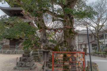 興正寺