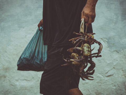 lobster