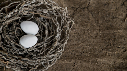 Easter eggs lie in the nest on the ground.