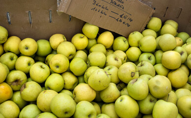 Pile of organic apples at local market. Concept of healthy food and lifestyle. 