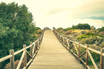 Obraz na płótnie Canvas Dunas de Artola - Natural Park in Marbella, Costa del Sol, Spain. Wood path , touristic atraction.
