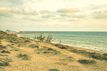 Dunas de Artola - Natural Park in Marbella, Costa del Sol, Spain. Wood path , touristic atraction.
