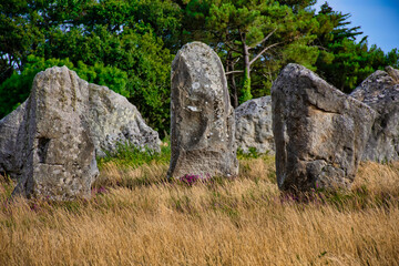 Alignment of Menhirs in Carnac - 410750452