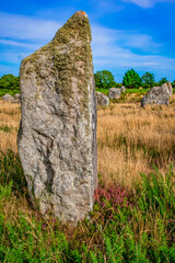 Alignment of Menhirs in Carnac - 410750490
