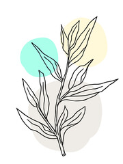 Plant drawing, modern design. Abstract Plant Art design for print, cover, wallpaper. Vector illustration