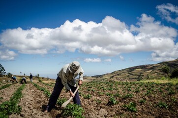 agricultor arando