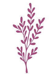 Plant drawing, modern design. Abstract Plant Art design for print, cover, wallpaper. Vector illustration