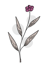 Plant drawing, modern design. Abstract Plant Art design for print, cover, wallpaper. Vector illustration