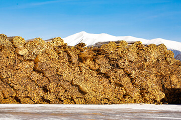 Woodcut of freshly cut lumber awaiting distribution as biomass for heating sezon. Snowy mountains...