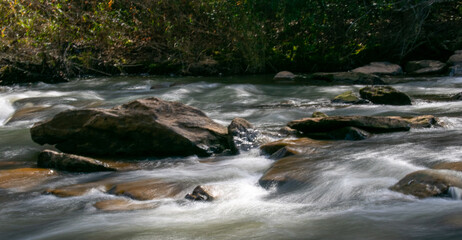 stream in the forest