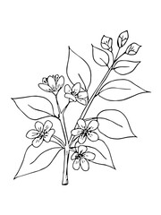 A tree branch with leaves and flowers, an apple or cherry tree. Art design for print, cover, wallpaper.